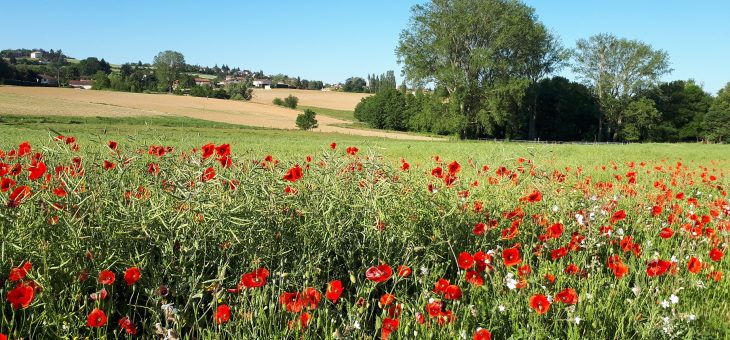News Sey’Durable 6 avril 2020